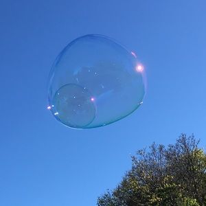 Meet your Posher, Lin